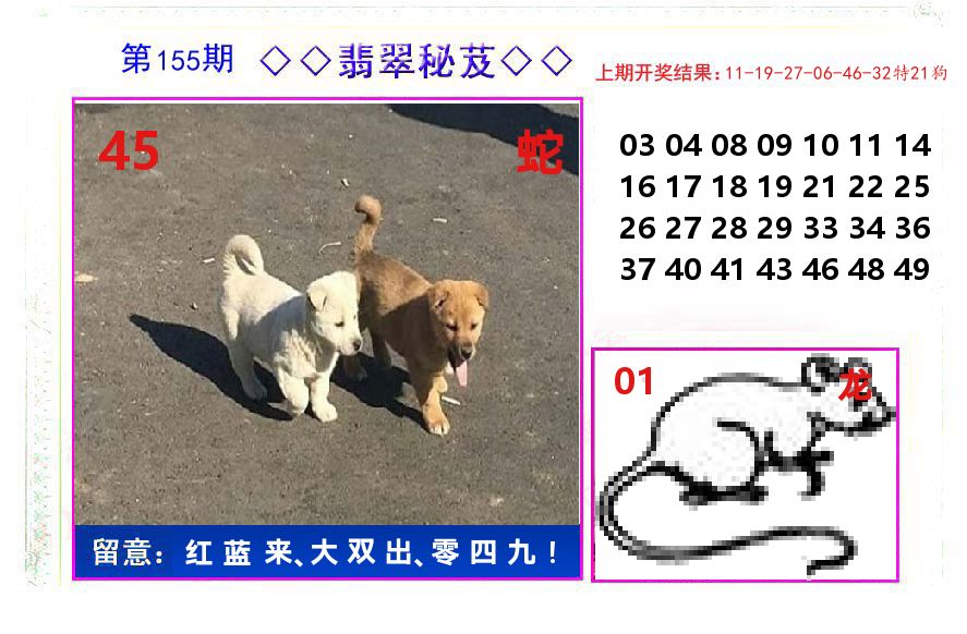 翡翠秘芨 第155期