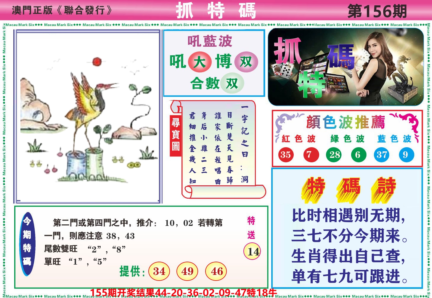 澳门抓特码A 第156期