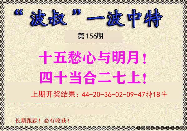 波叔中特 第156期