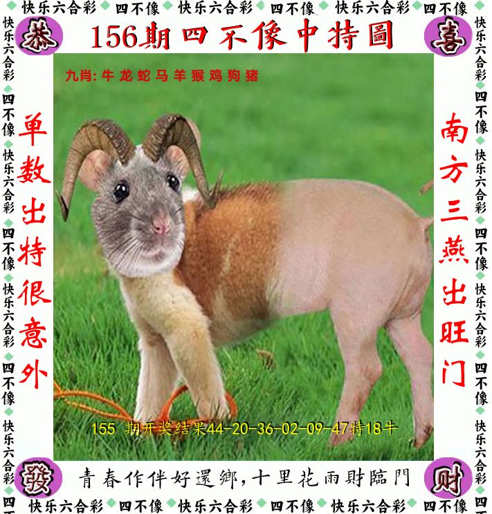 图片资料正在更新中……