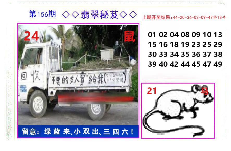 翡翠秘芨 第156期