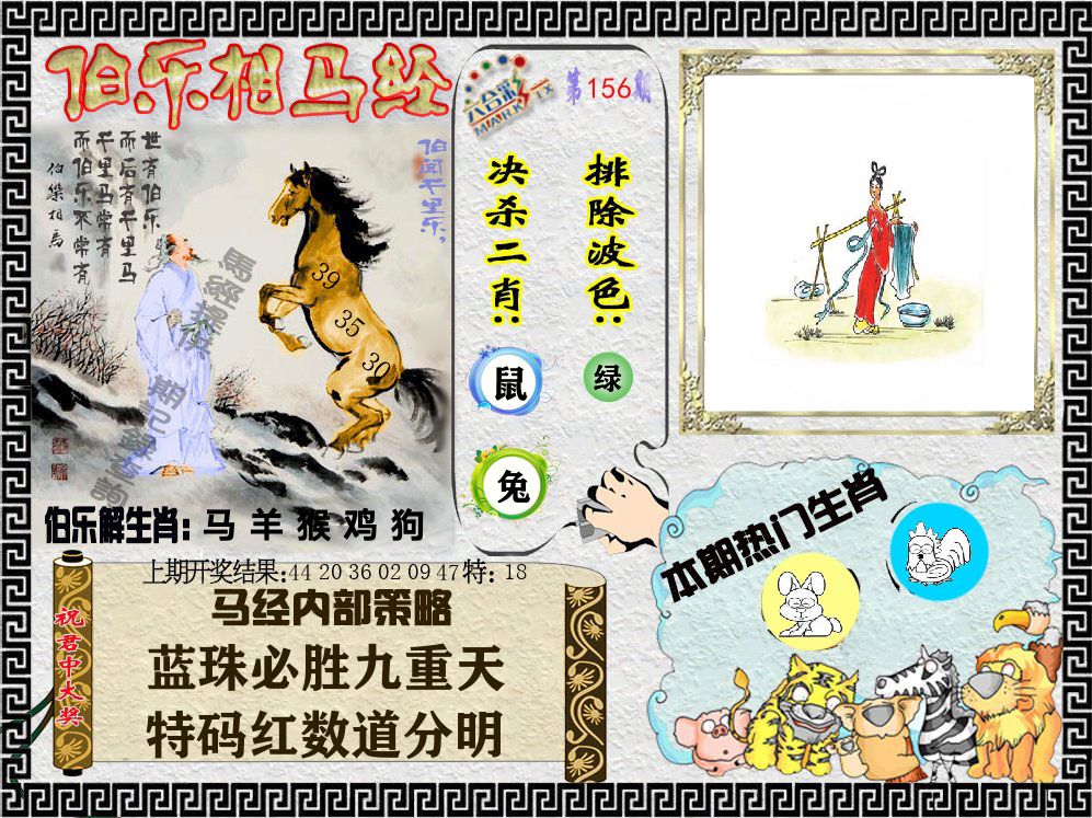 伯乐相马经 第156期