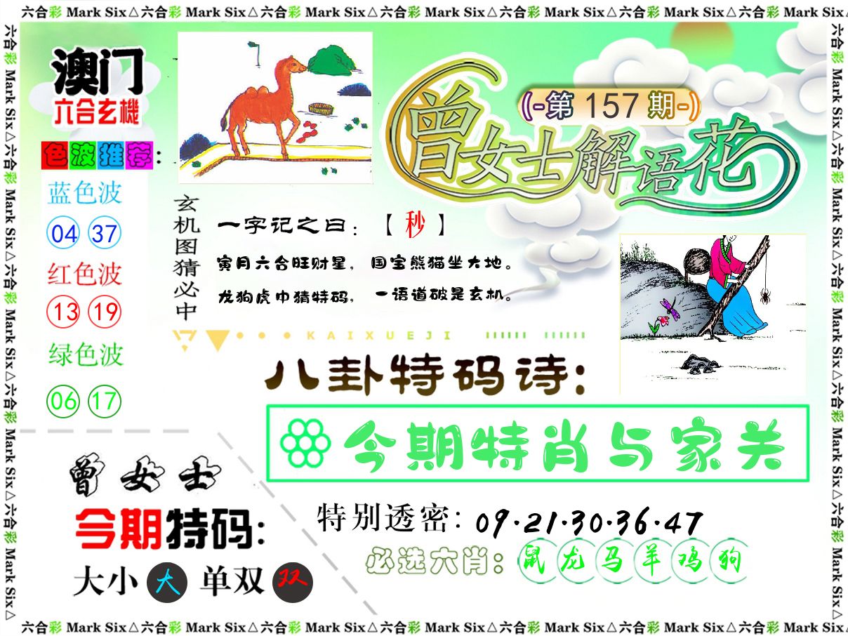 曾女士解语花 第157期