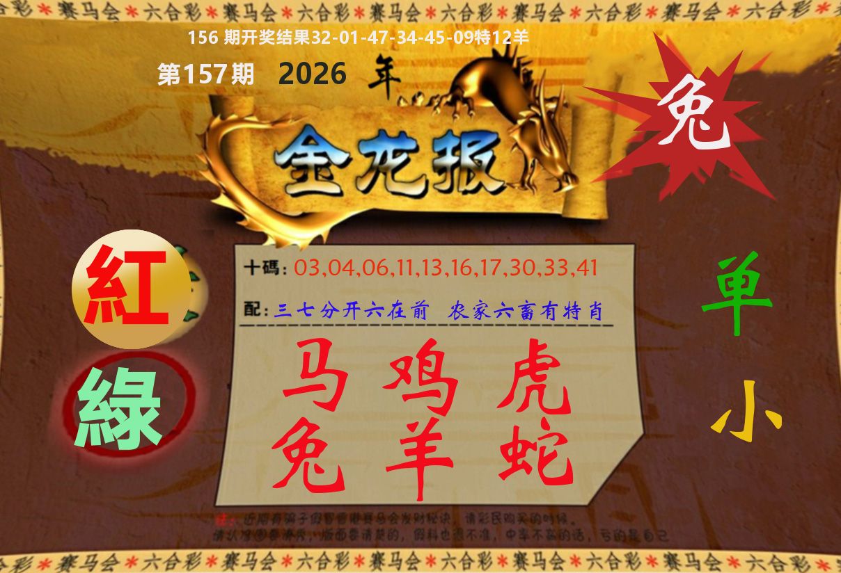 金龙报 第157期