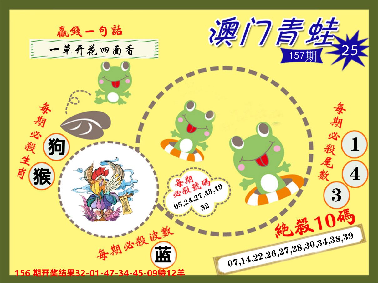 青蛙系列25 第157期