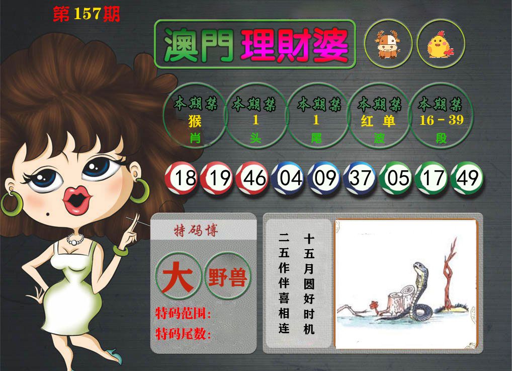 理财婆 第157期