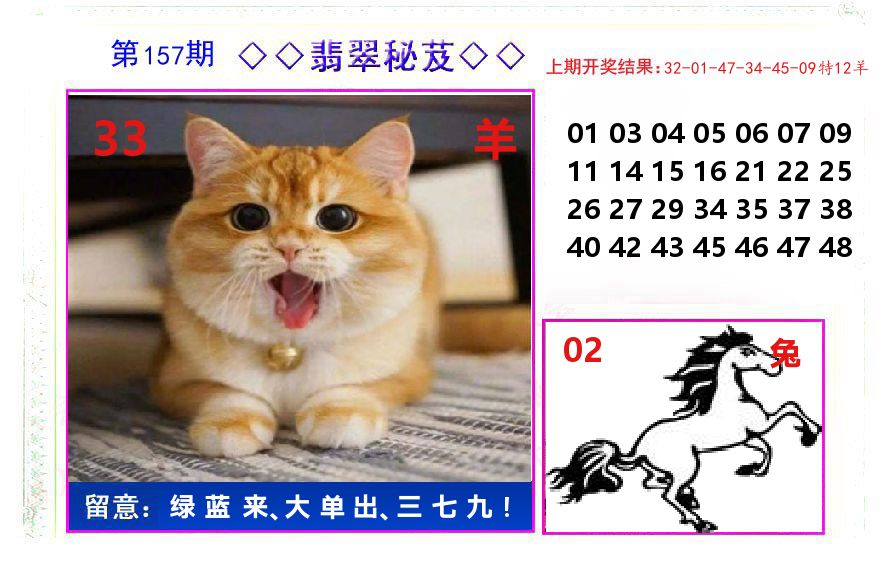 翡翠秘芨 第157期