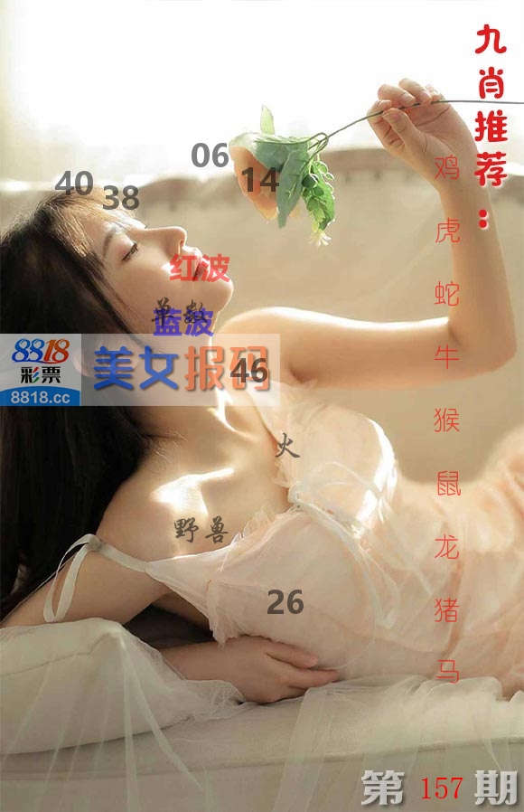 美女报码 第157期