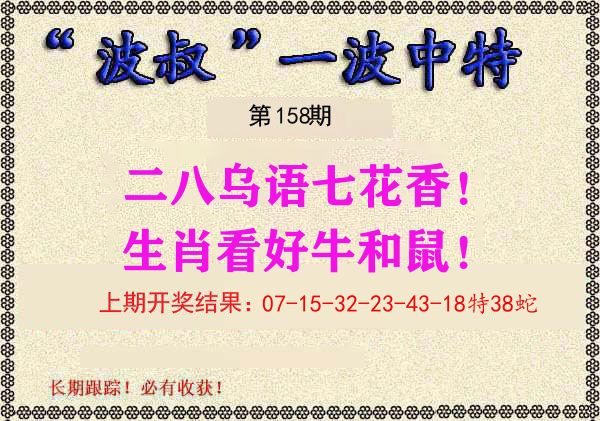 波叔中特 第158期