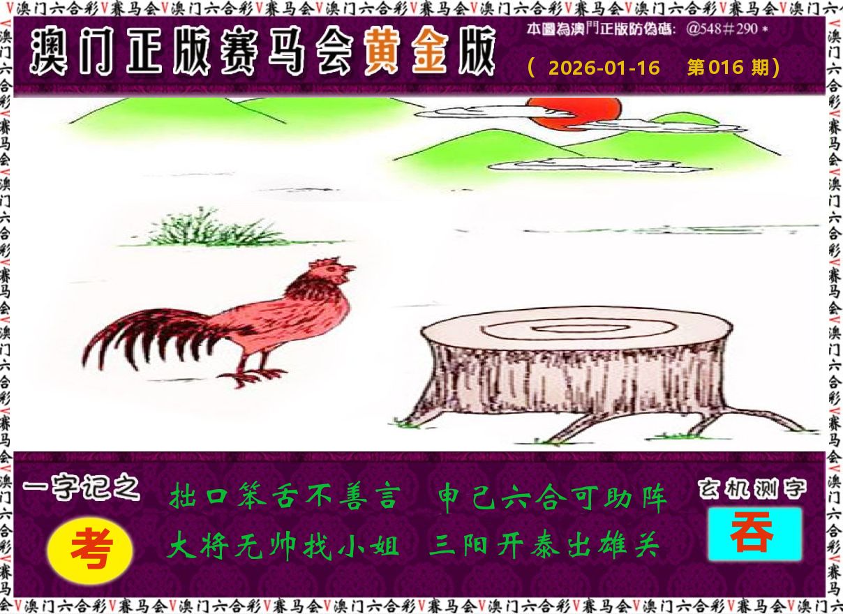 赛马会黄金版 第16期
