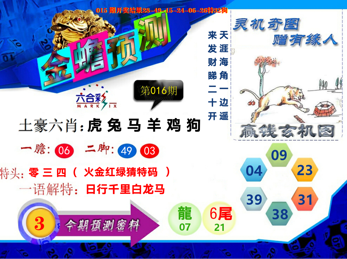 金蟾预测 第16期