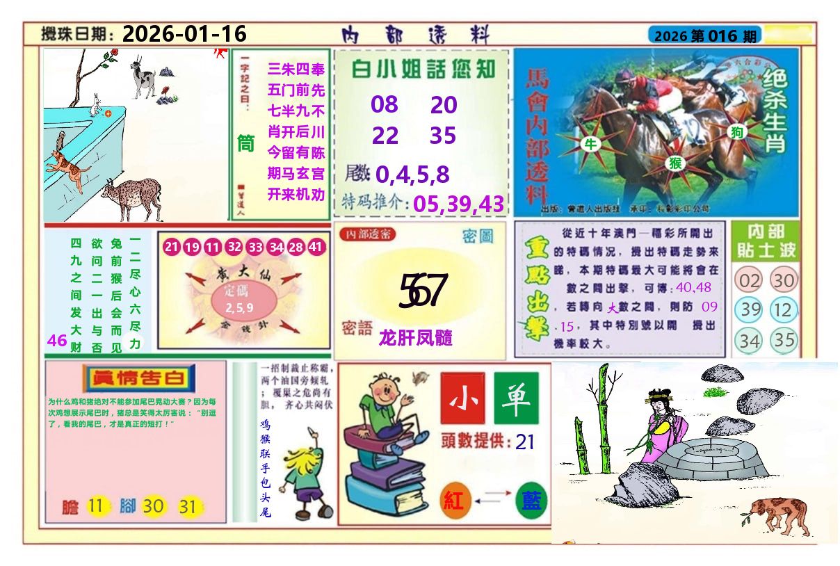 澳门内部透料A 第16期