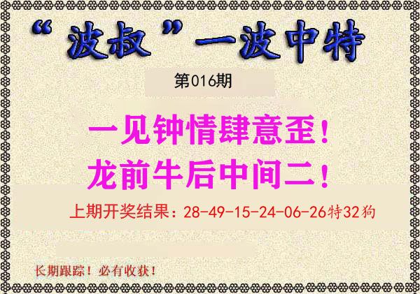 波叔中特 第16期