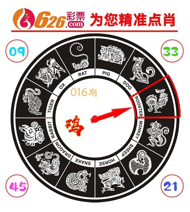 精准点肖 第16期