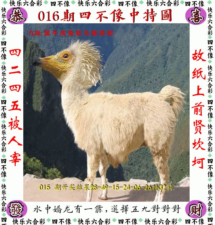四不像 第16期