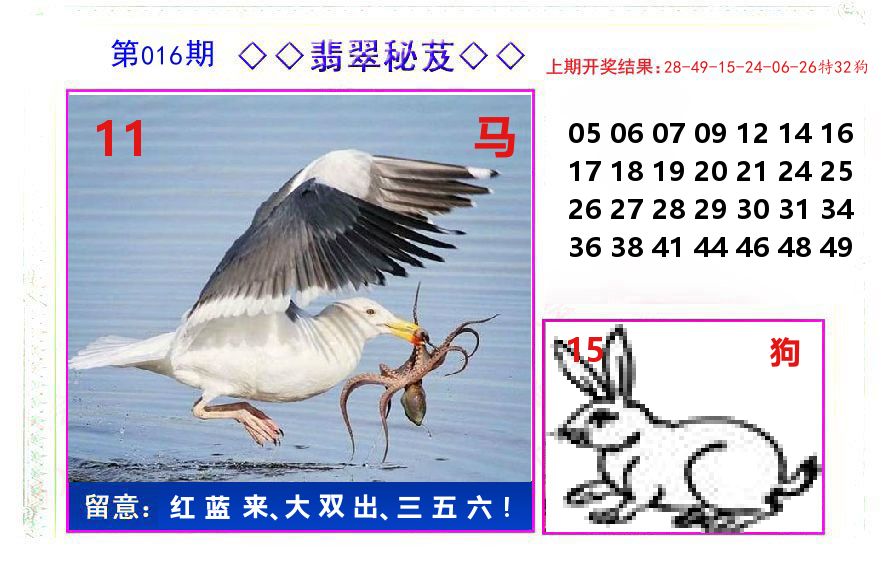 翡翠秘芨 第16期