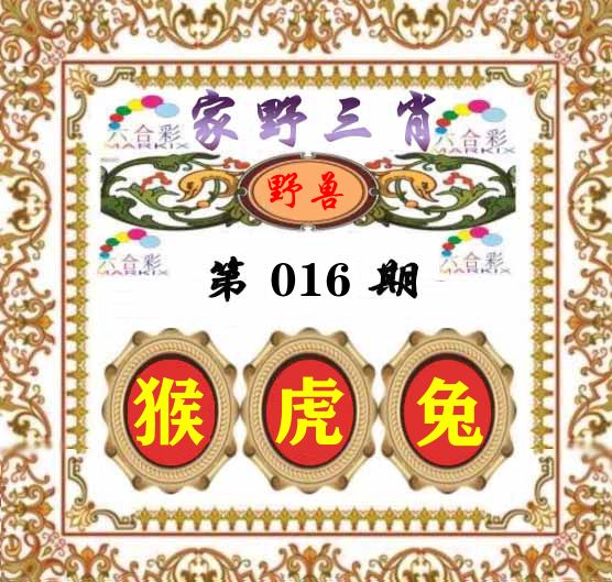 家野三肖 第16期