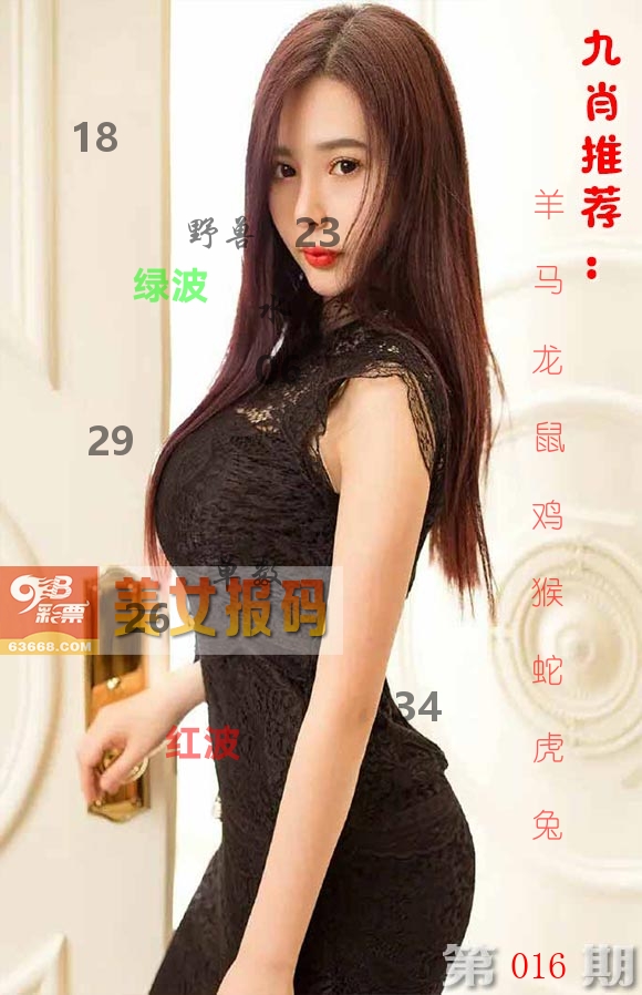 美女报码 第16期