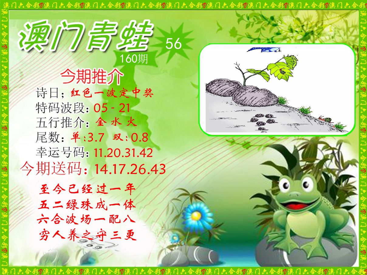 青蛙系列56 第160期