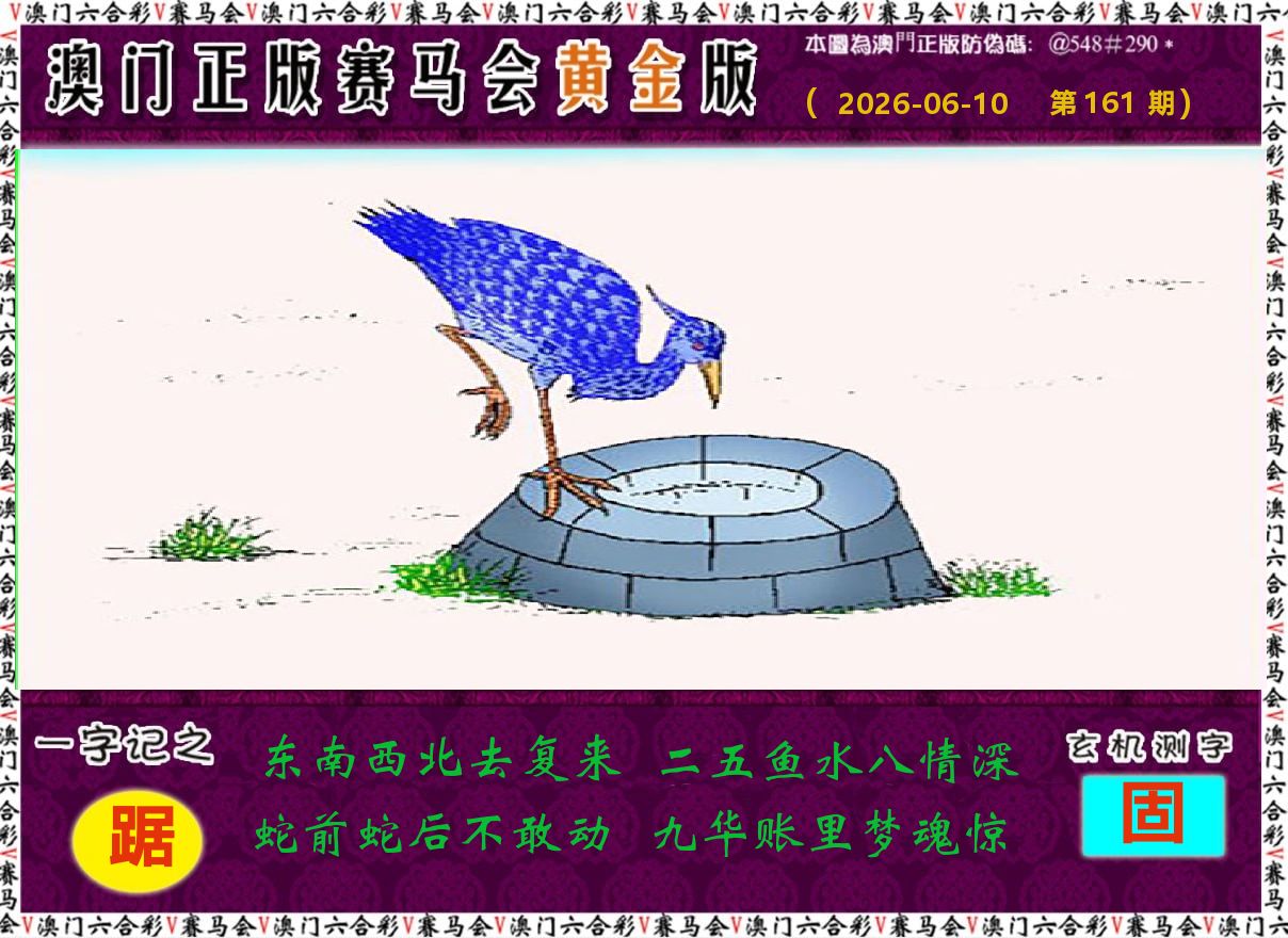 赛马会黄金版 第161期