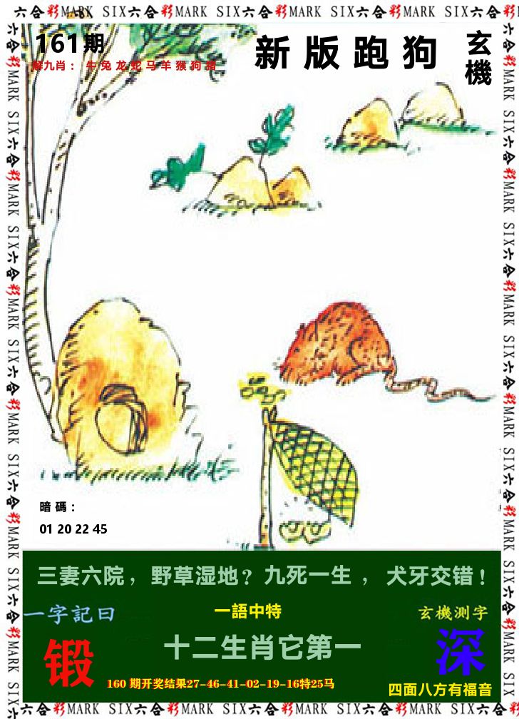 悟入其图 第161期