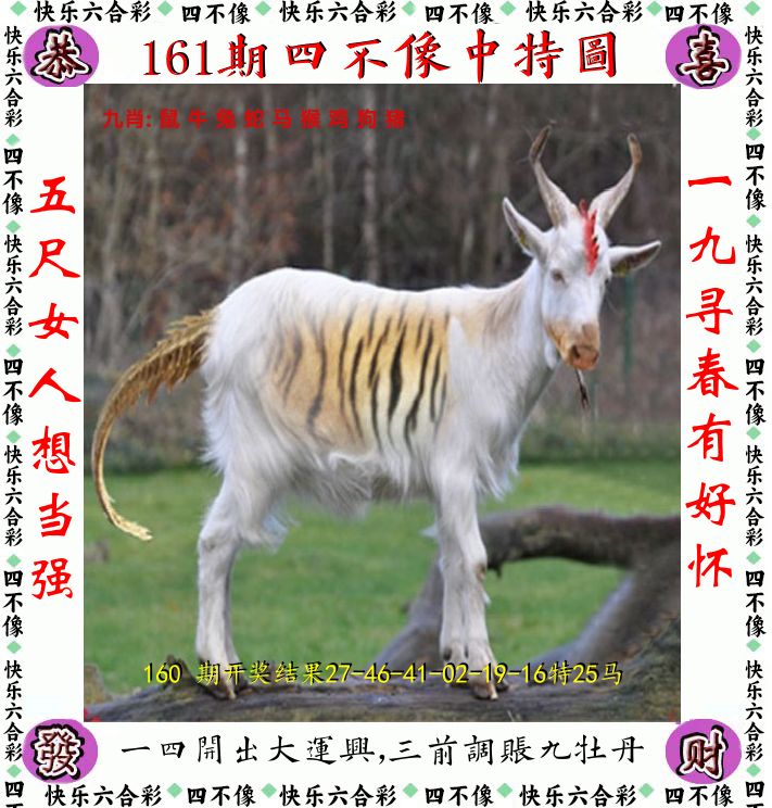 四不像 第161期