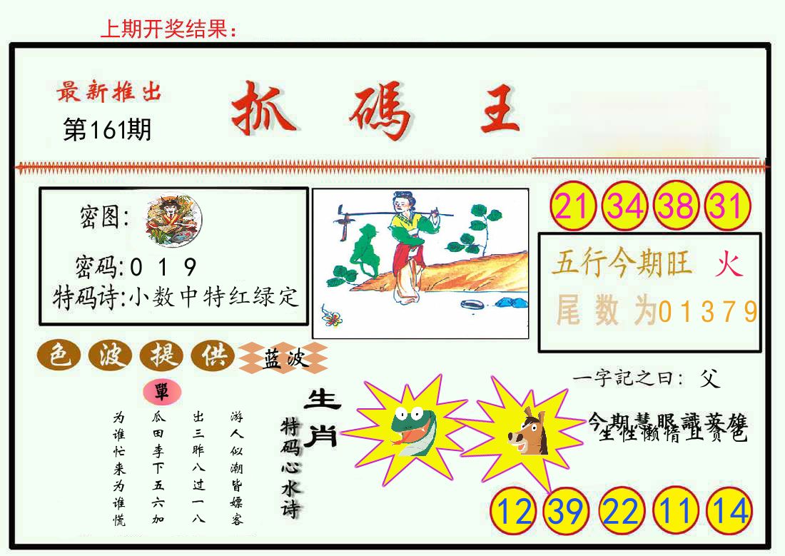 最新抓码王 第161期