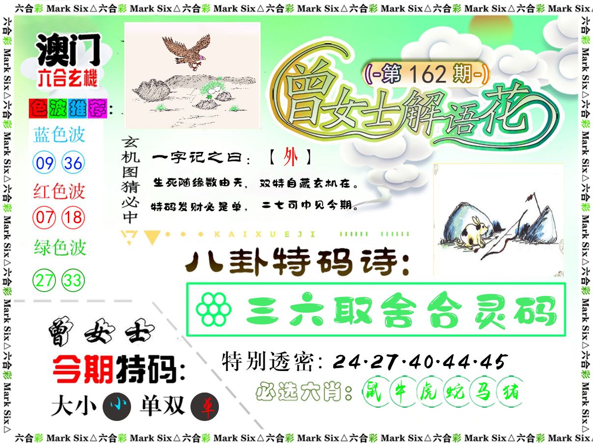 曾女士解语花 第162期