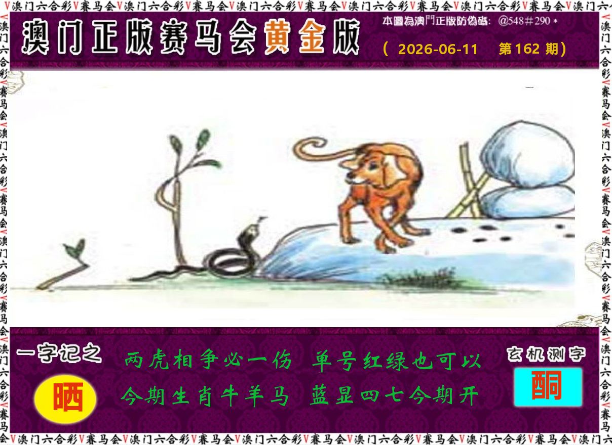 赛马会黄金版 第162期