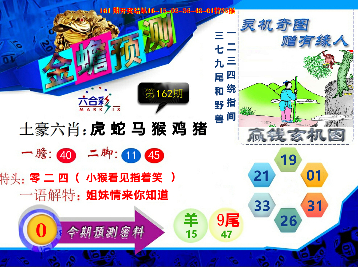 金蟾预测 第162期