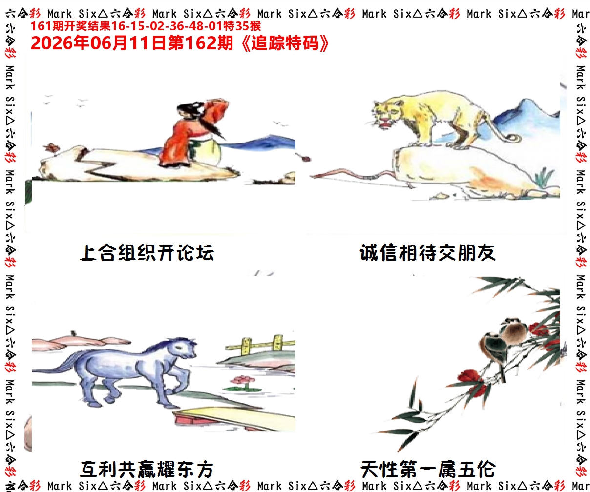 追踪特码 第162期