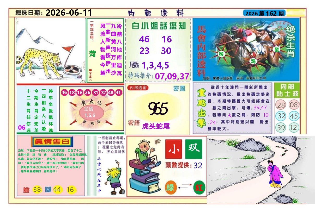澳门内部透料A 第162期