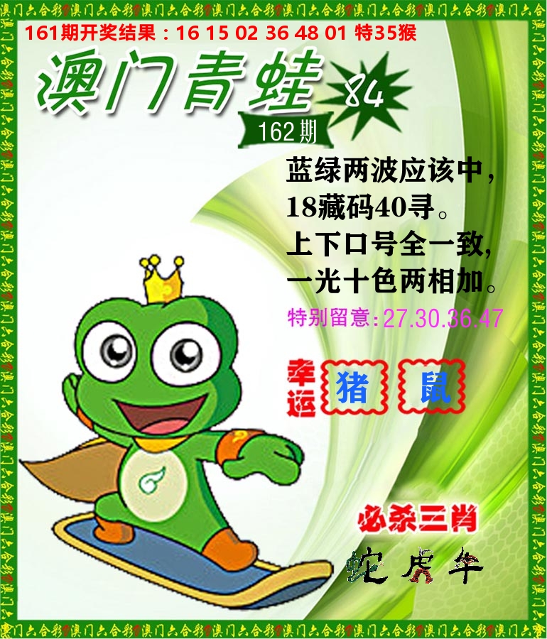 青蛙系列84 第162期