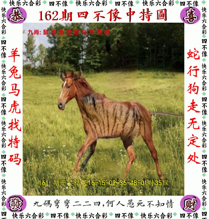 四不像 第162期