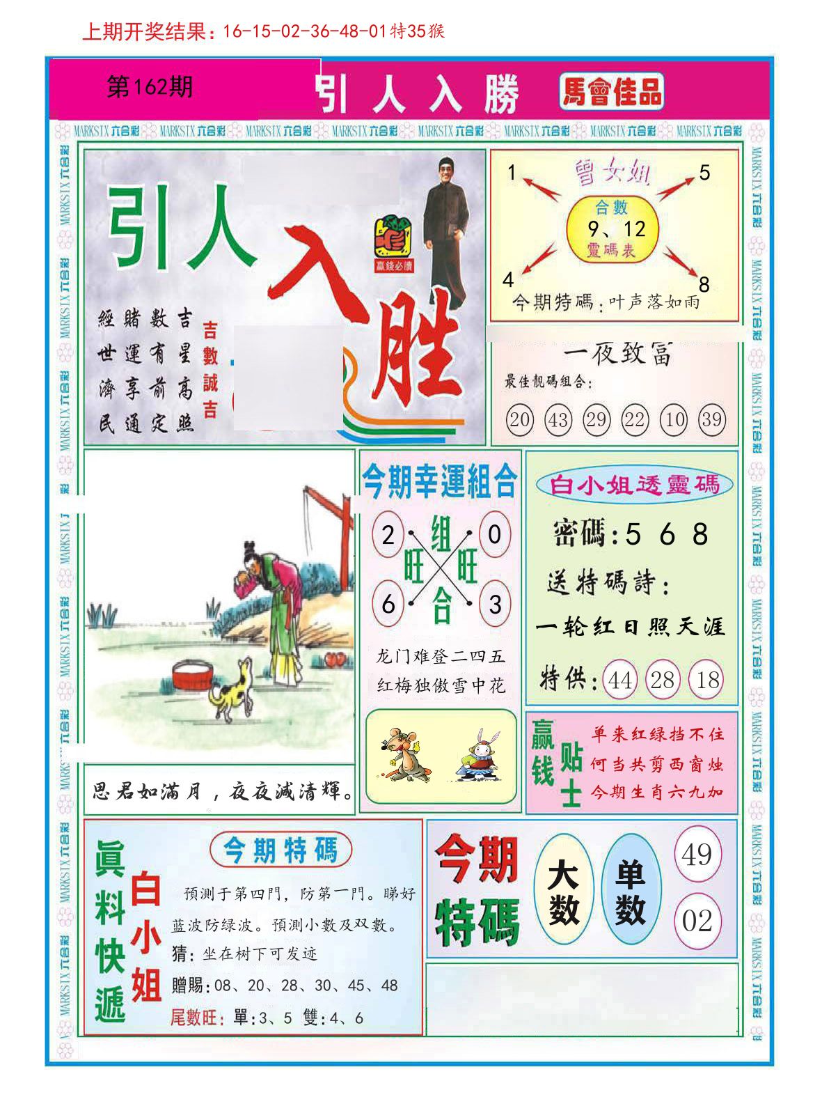引人入胜 第162期