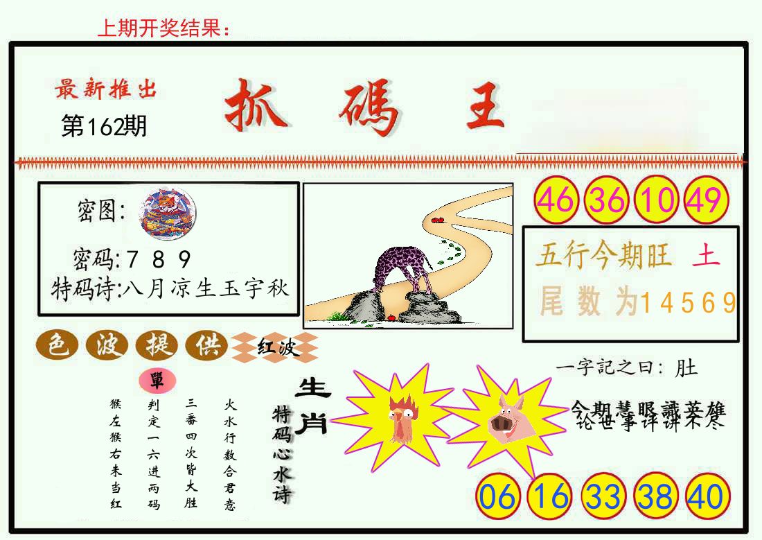 最新抓码王 第162期
