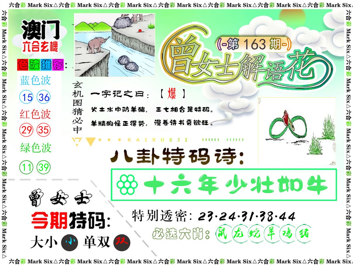 曾女士解语花 第163期
