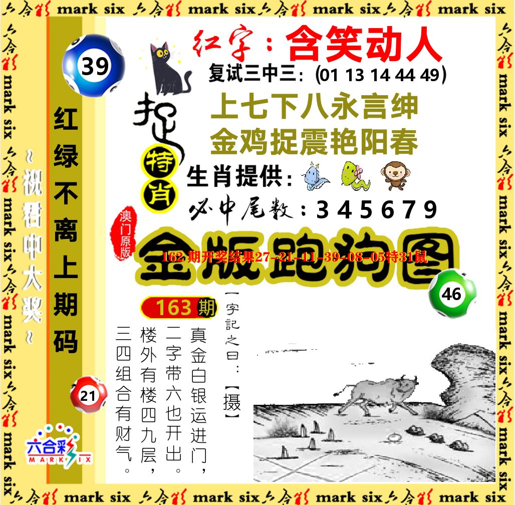 金版跑狗图 第163期