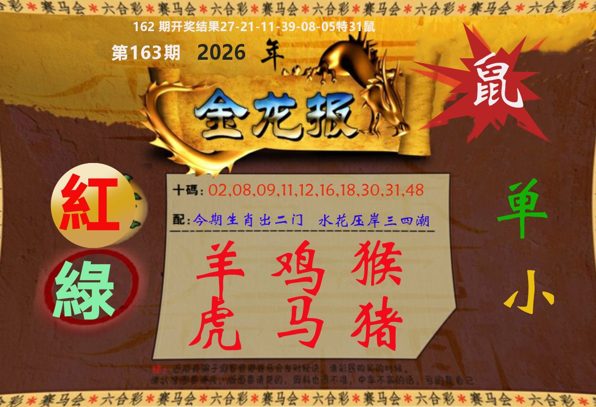 金龙报 第163期