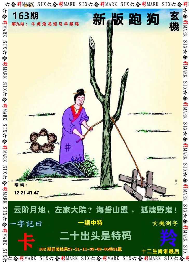 悟入其图 第163期