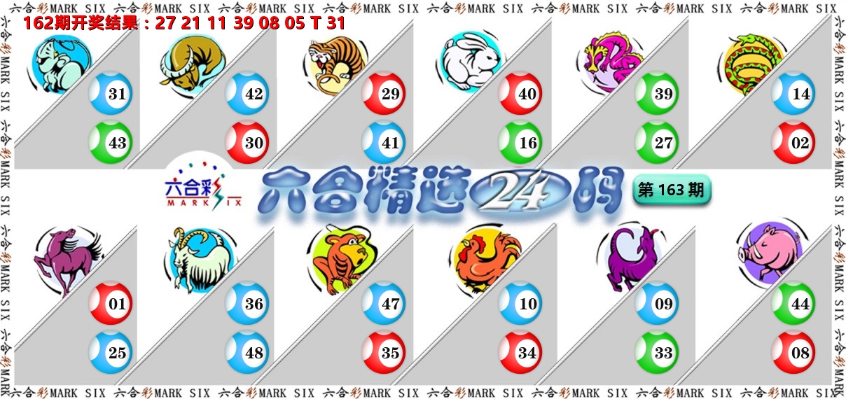 六合精选24码 第163期