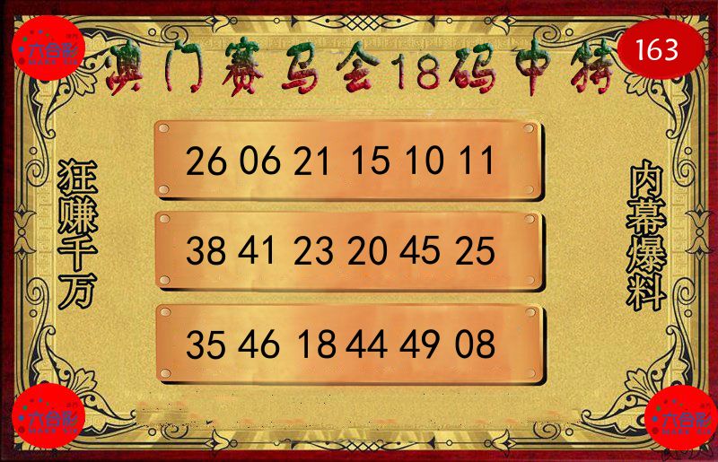 赛马会18码 第163期