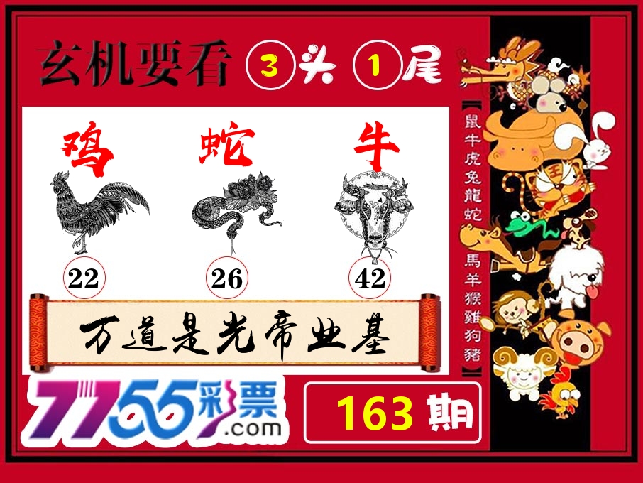 玄机要看 第163期
