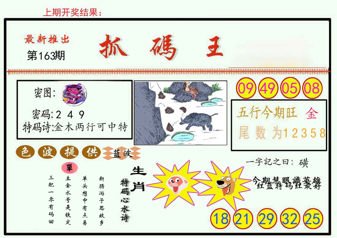 最新抓码王 第163期