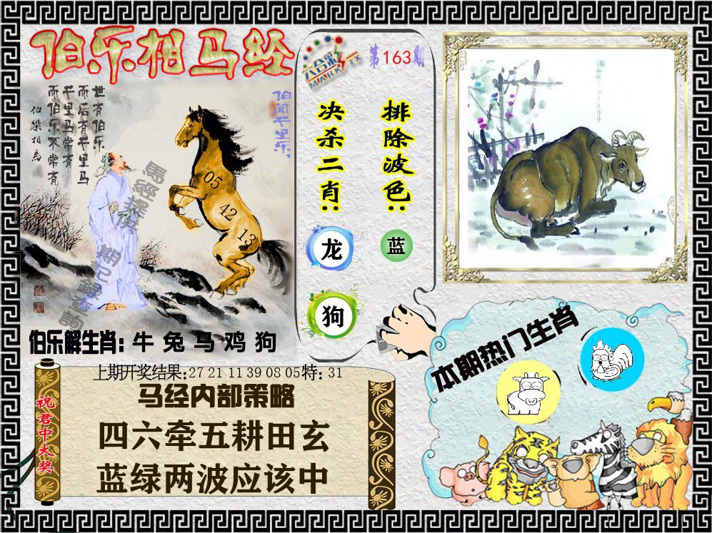 伯乐相马经 第163期