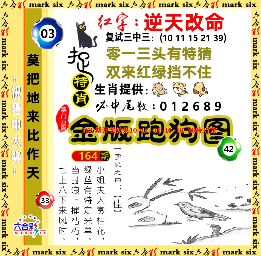 金版跑狗图 第164期