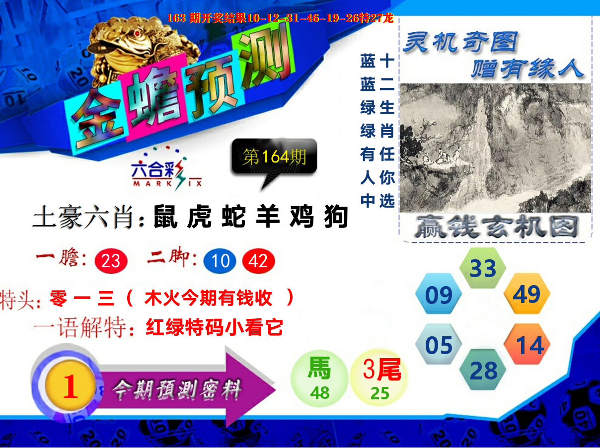 金蟾预测 第164期