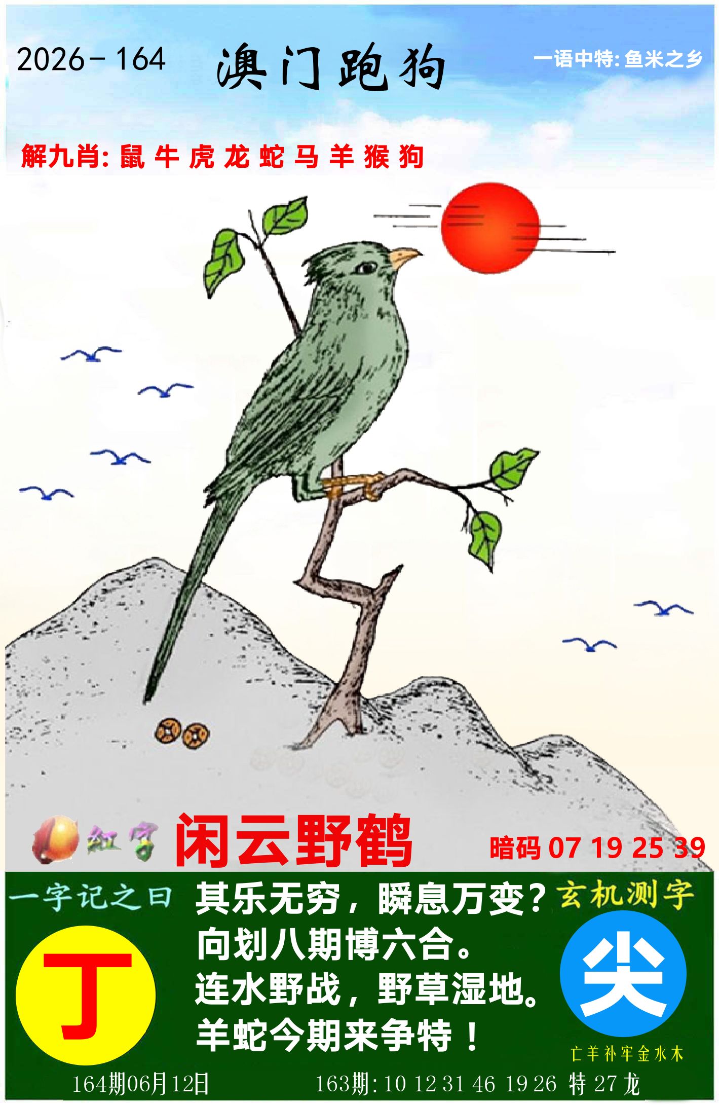澳门跑狗图 第164期