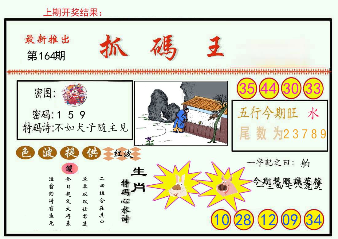 最新抓码王 第164期