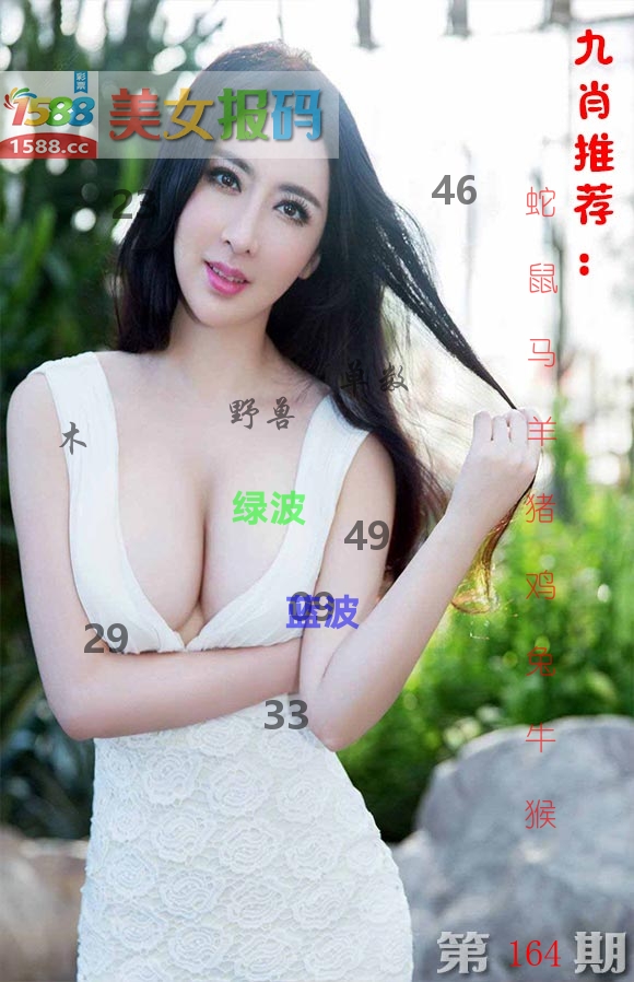 美女报码 第164期